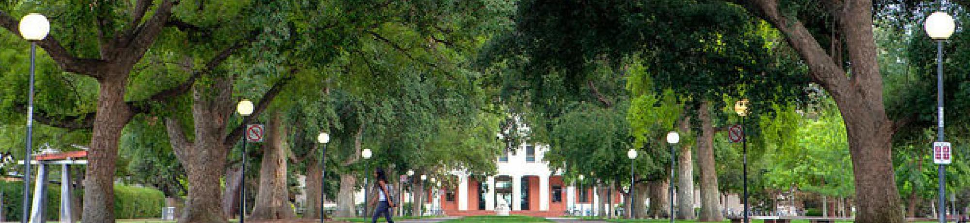 UCD Campus